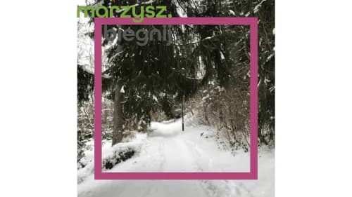 Czy chodzenie odchudza brzuch? Sprawdź, jak skutecznie schudnąć